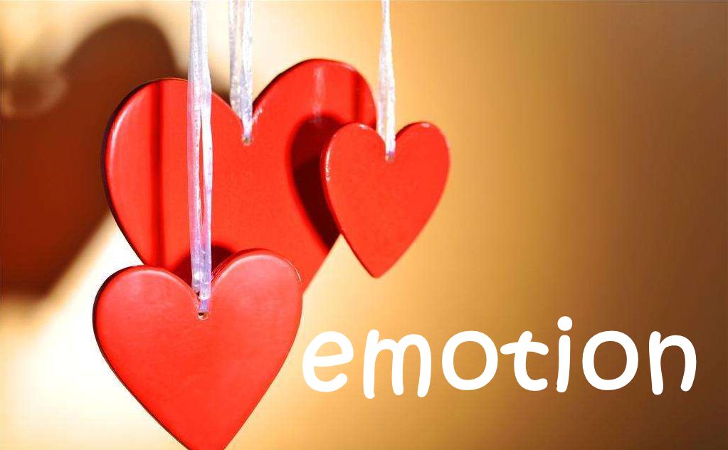 emotion有复数形式么