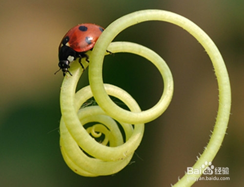 防骗防上当手册