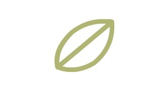 Flash绘制卡通树干的方法