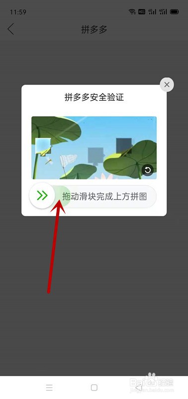 拼多多APP在哪里查看发货地