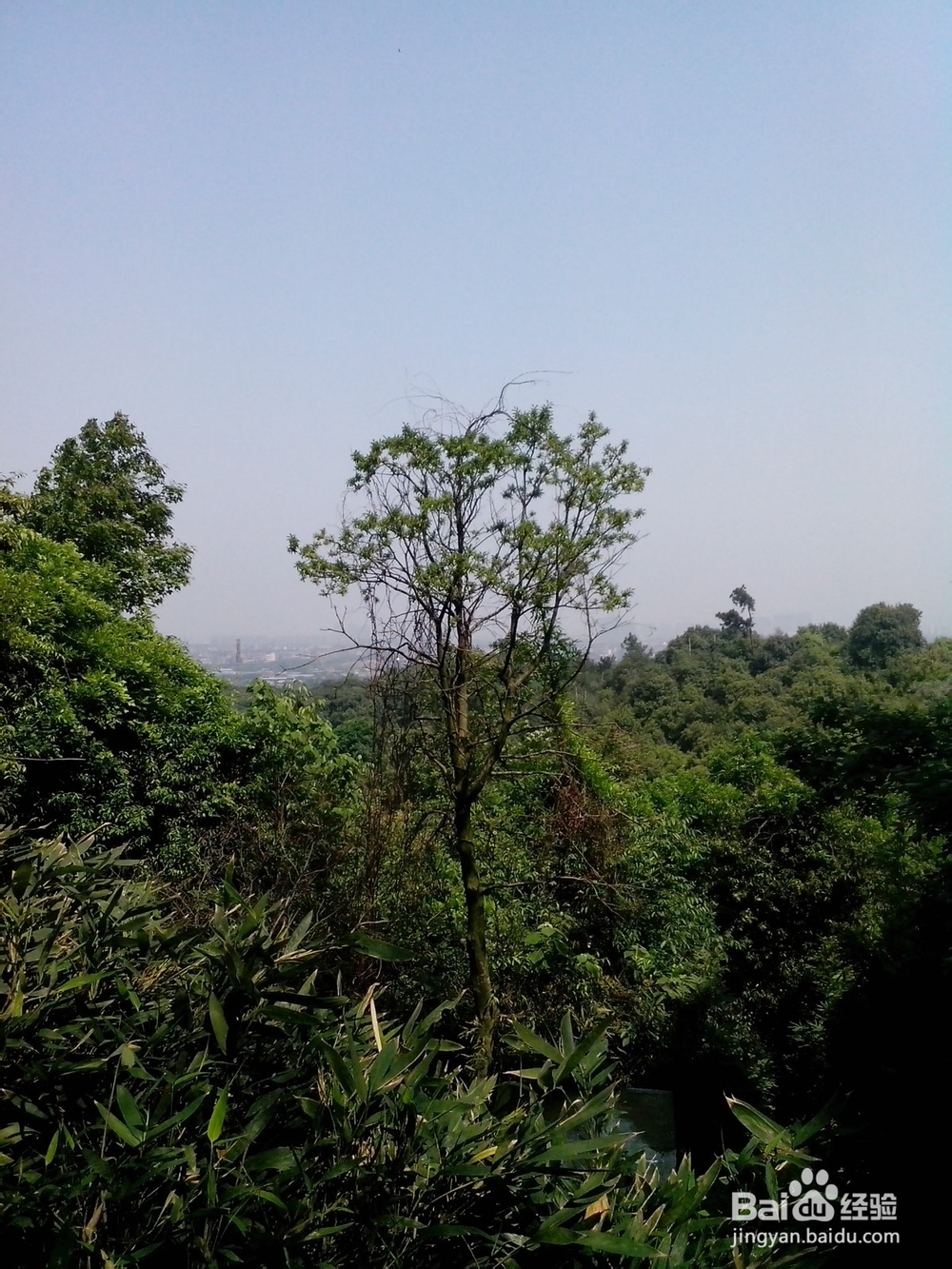 假期旅游之浙江超山风景区