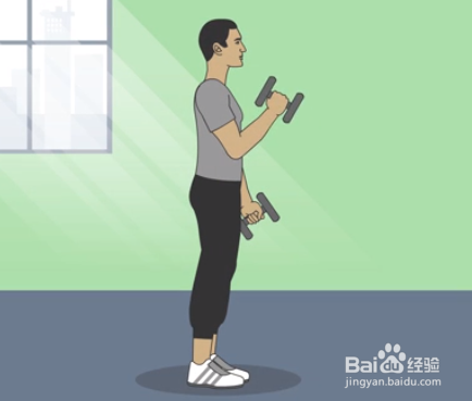 哑铃的正确锻炼方法