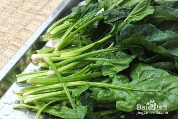 哪些食材可以加快代谢速度