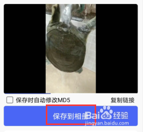 如何无水印的下载皮皮虾里的视频