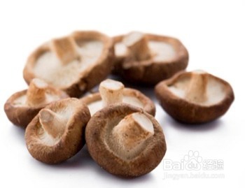 如何挑选新鲜的蘑菇？