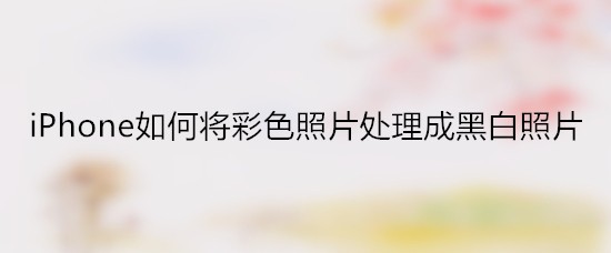 iPhone如何将彩色照片处理成黑白照片