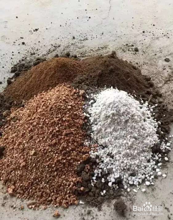 换盆旧土别扔，2个小技巧，旧土变新土！