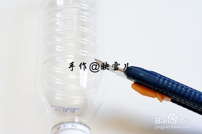 矿泉水瓶做小猪钱罐
