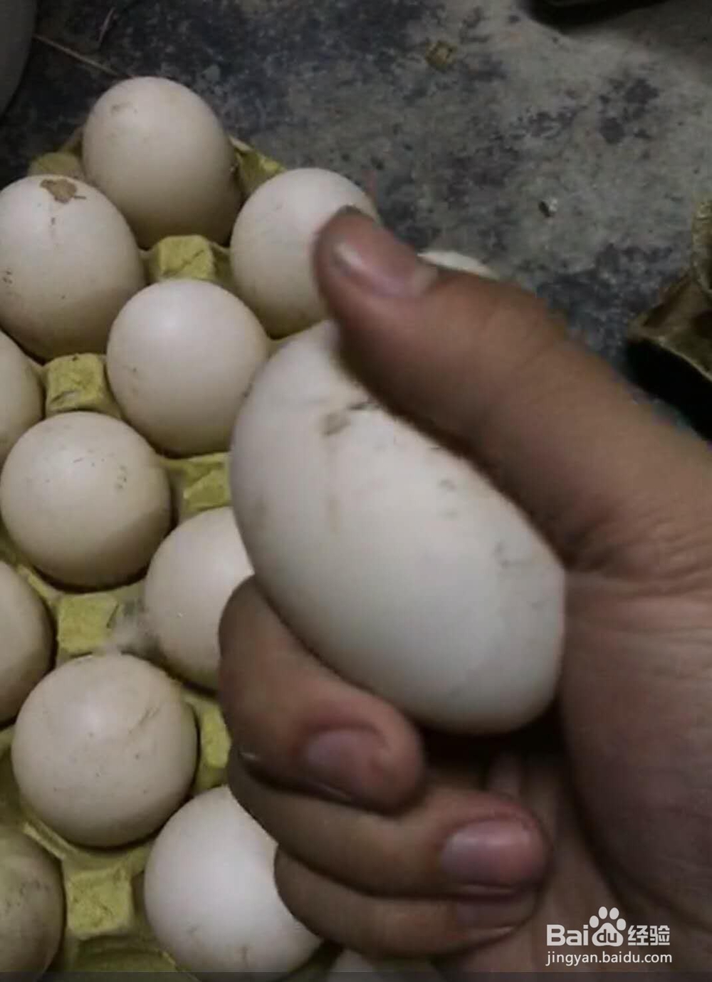 每天吃鸡蛋，原来吃错了？