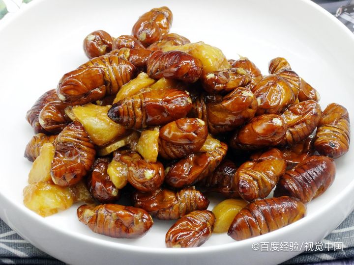 哺乳期能吃蚕蛹吗