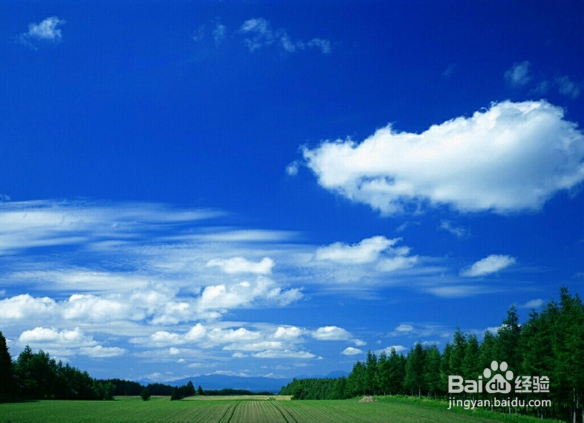在关键期如何让自己长得更高