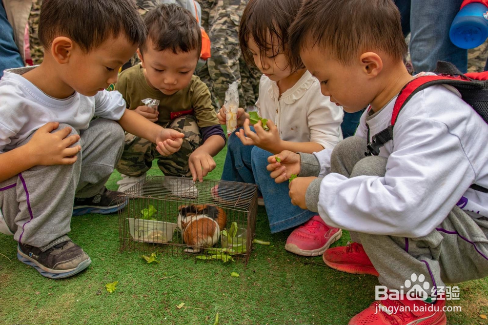 深圳光明稻田农场这个地方超适合亲子游
