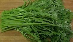 秋季适合种什么菜