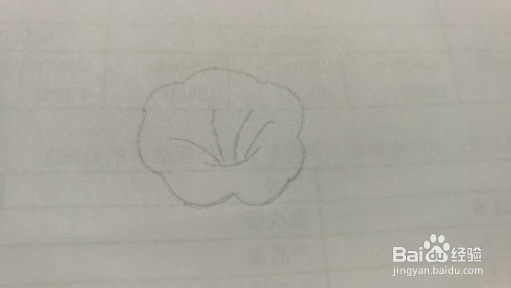 牵牛花——简笔画