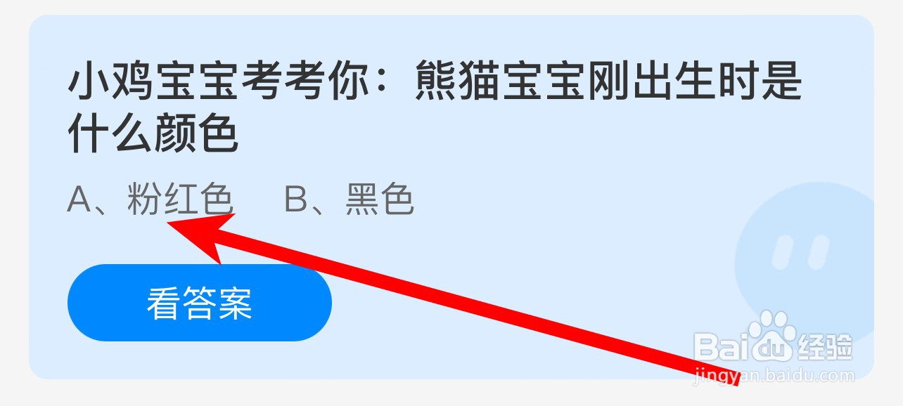 熊猫宝宝刚出生时是什么颜色蚂蚁庄园答案
