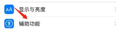 iPhone旁白盲文输入中怎么开启自动翻译？