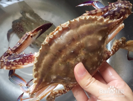 家庭自制蟹炒年糕