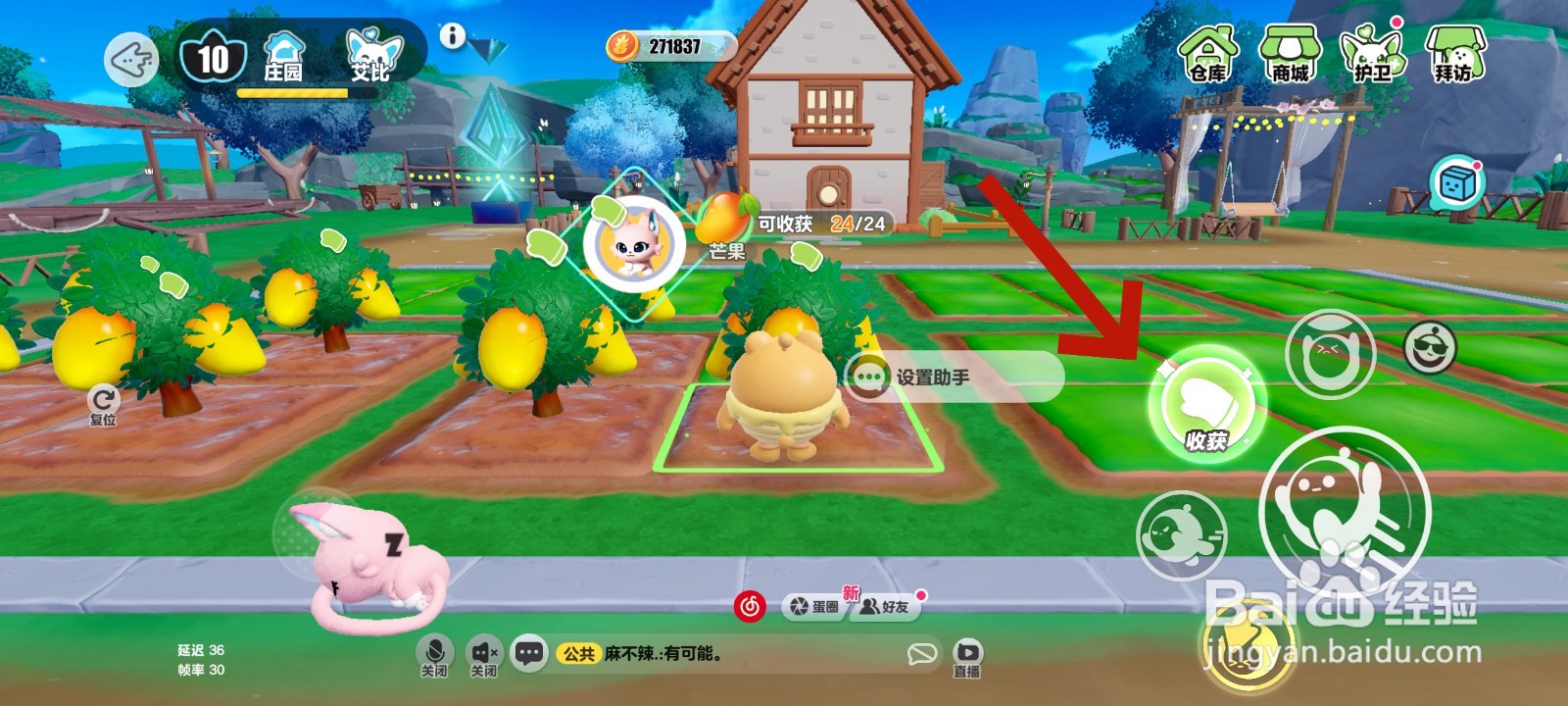 蛋仔派对游戏中收获芒果的教程