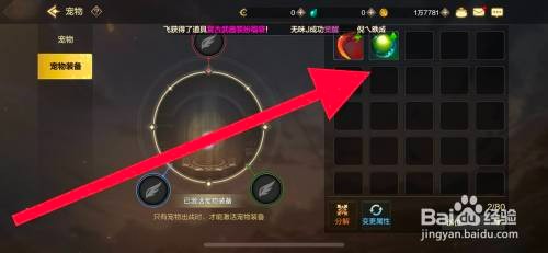 DNF手游如何佩戴宠物装备