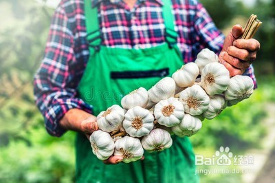 什么习惯能增强免疫力?