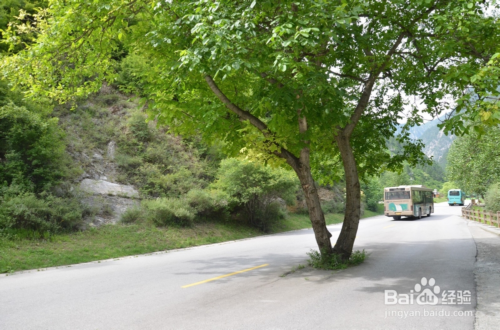 14年11月亚龙湾最新出行、餐饮贴士