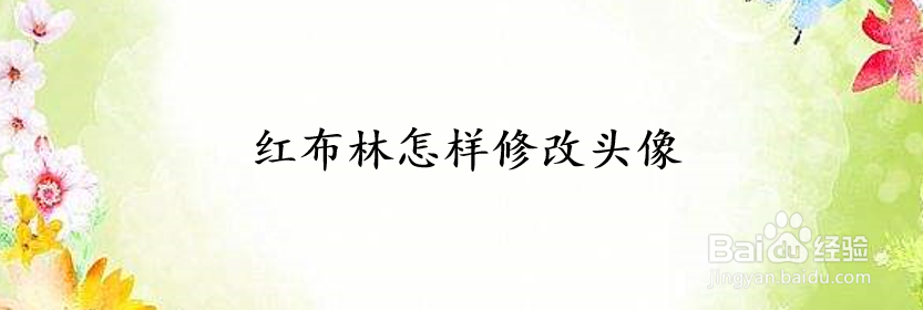 红布林怎样修改头像
