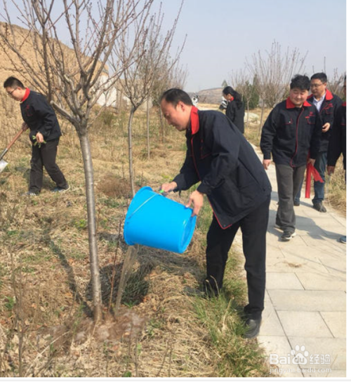 简单植树的方法 百度经验