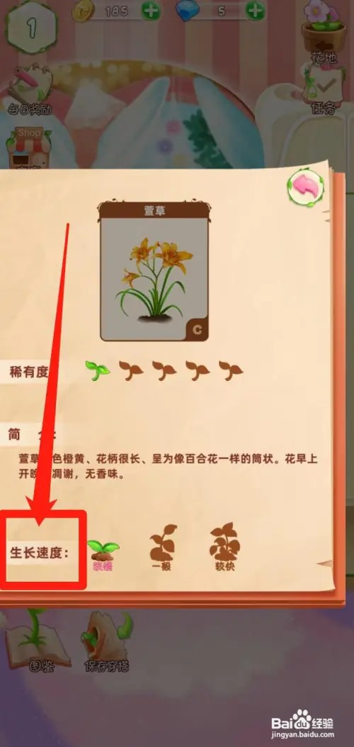 花花姑娘之魔法花园如何查看萱草生长速度