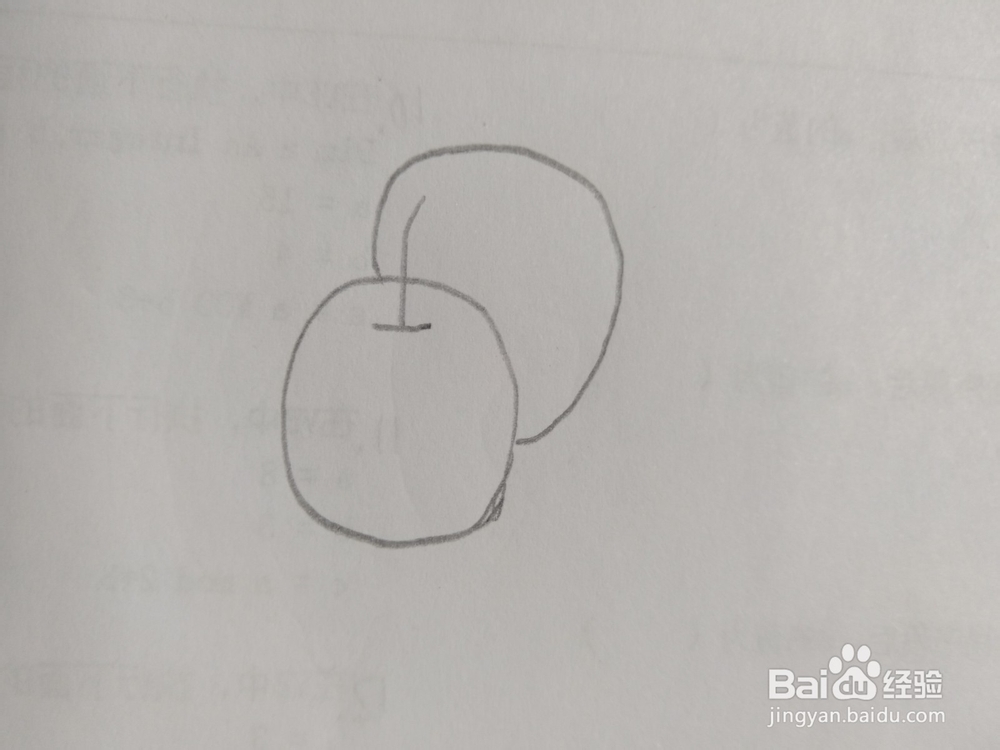 简笔画苹果画法12