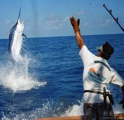 秋天怎么钓鲫鱼