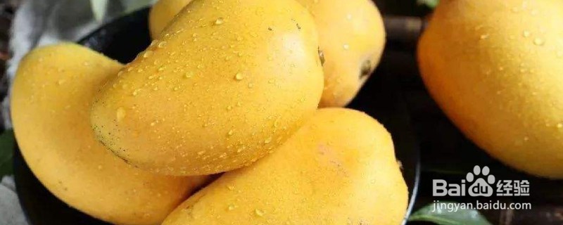 芒果怎样保存才不容易坏掉