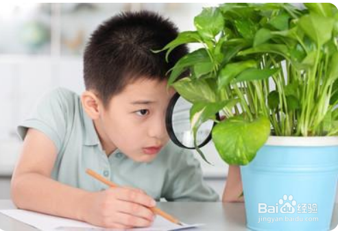 孩子学什么都不认真不用心怎么办