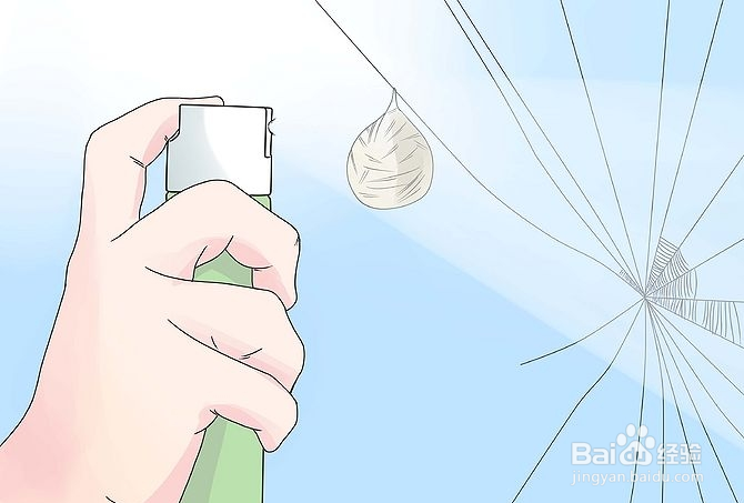 如何驱除黑寡妇蜘蛛