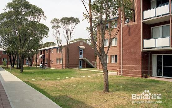 学院街攻略：[199]纽卡斯尔大学(澳洲)住宿攻略