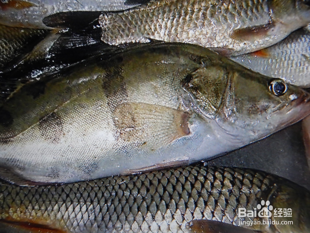 怎么烧象奶一样的桂鱼汤？