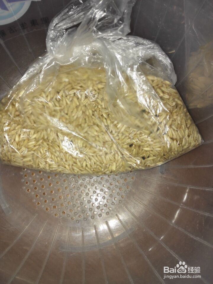 怎样制作美味营养的豆浆？