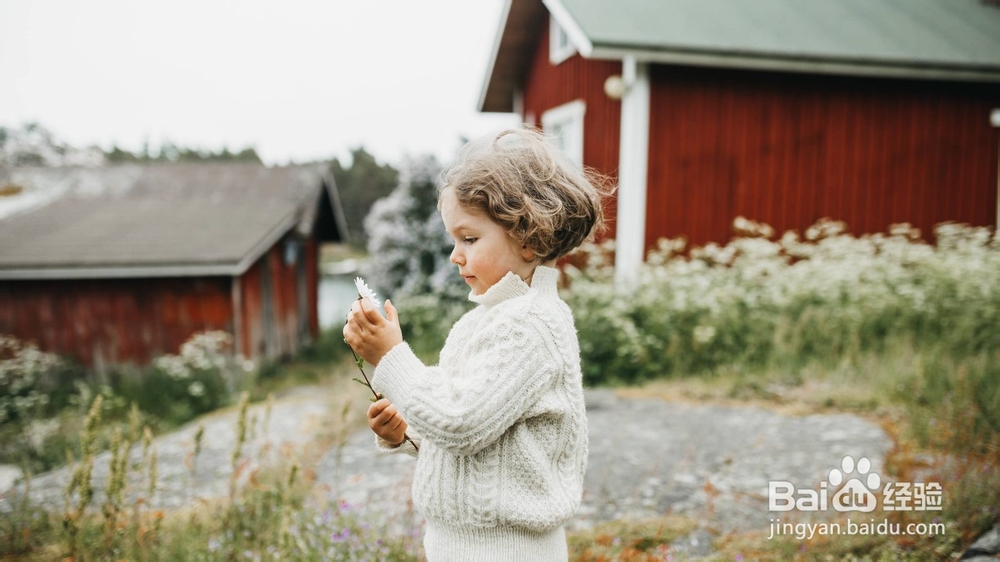 在芬兰可持续旅游的10个贴士