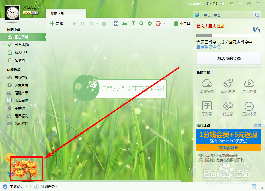 迅雷如何快速升级幸福树