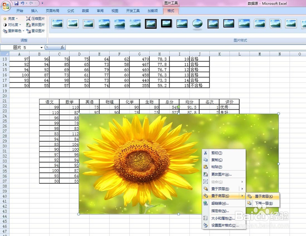 EXCEL给表格加相应背景图片