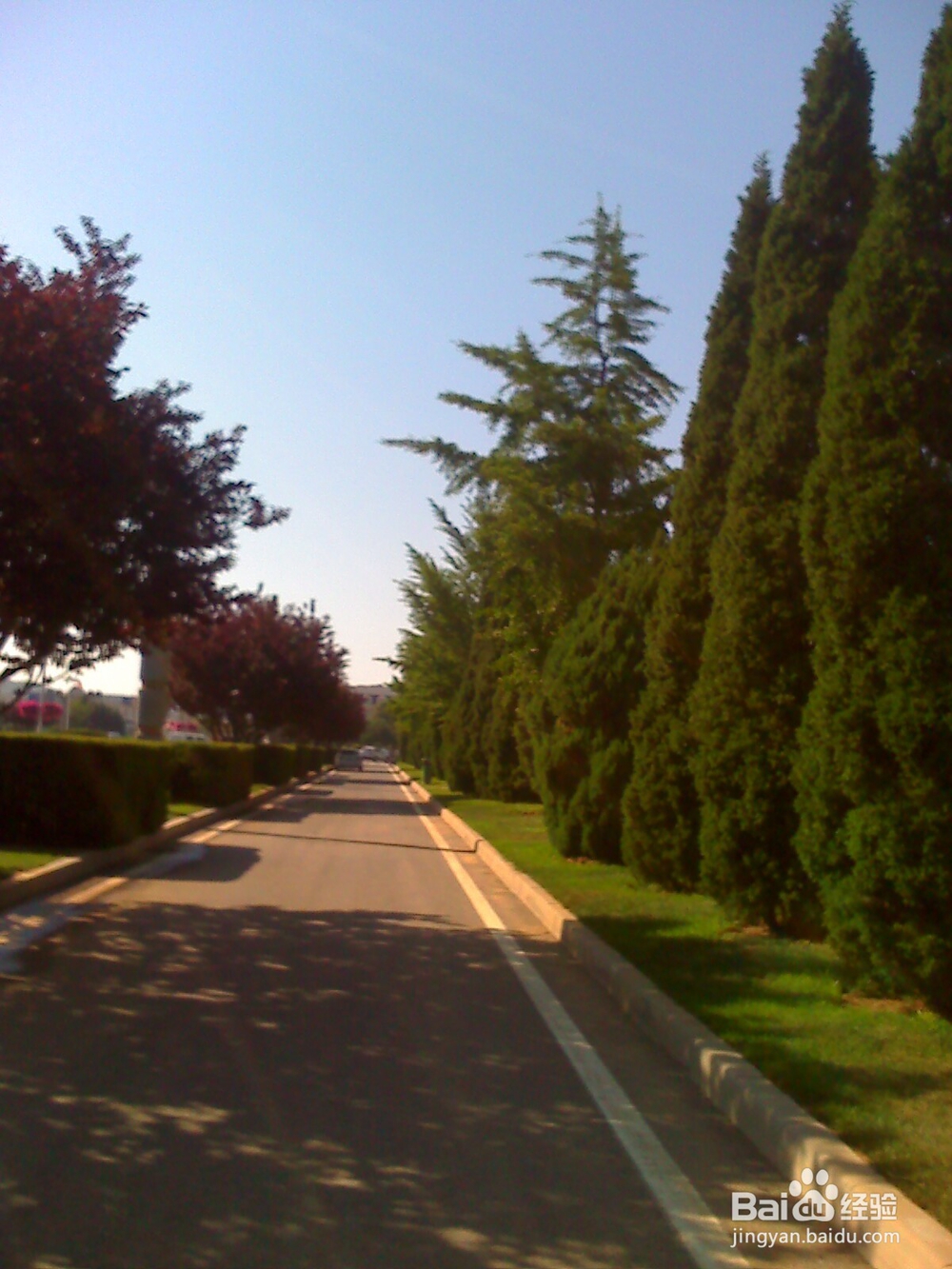 怎样告诉孩子什么是天然的氧吧--24