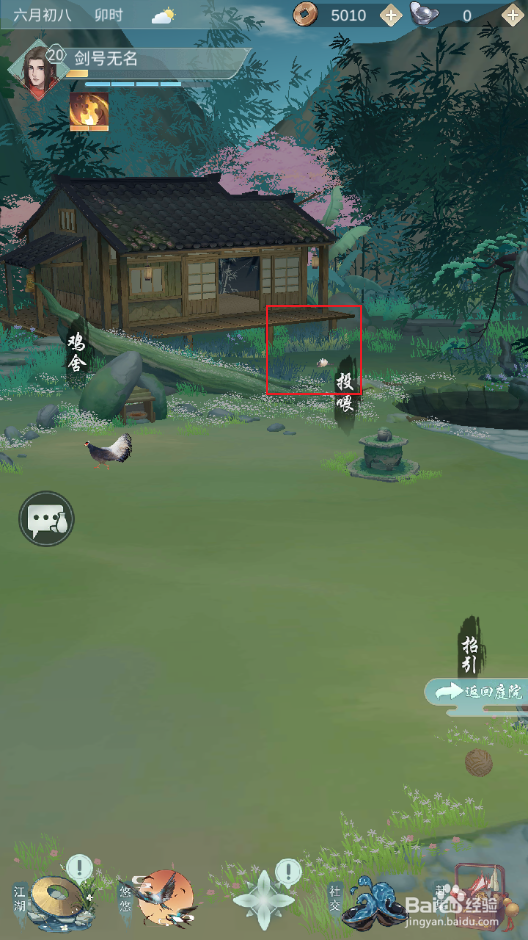 虎斑猫怎么养