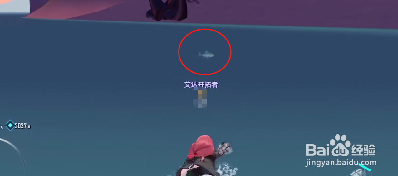 幻塔三文鱼哪里多