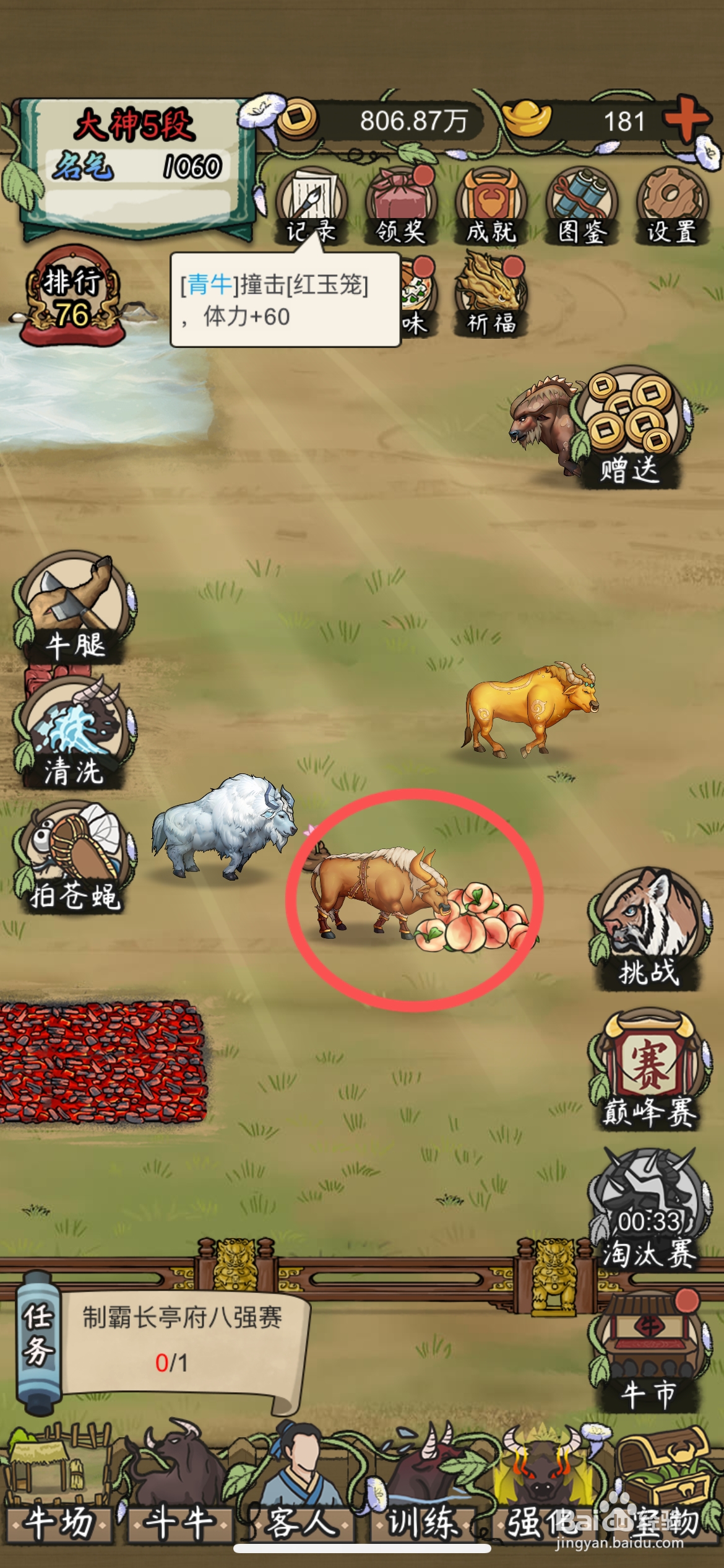 叫我养牛王怎么给牛场蛮牛喂仙桃