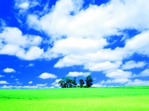 股票行业分析——新能源分析上篇