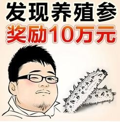 淘宝天猫 宝贝点击率提升方法