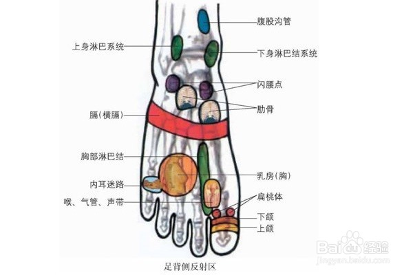 身体虚脱怎么办