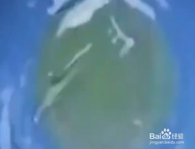 如何学习实用小技巧