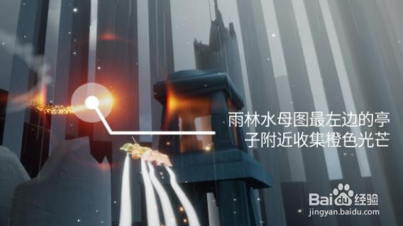 光遇1.13每日任务攻略