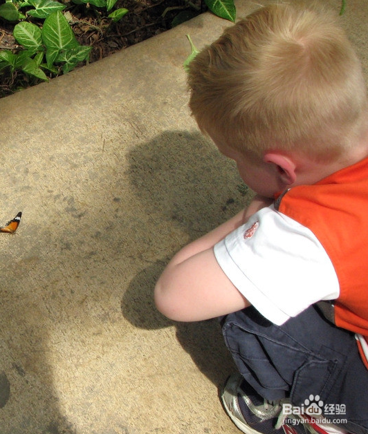 怎样对孩子进行安全教育