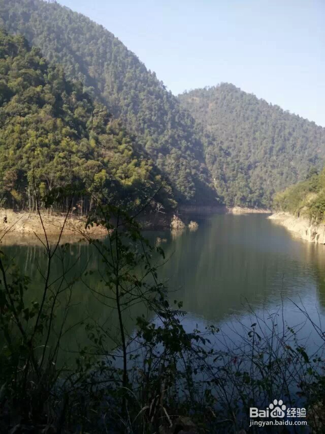 江西省马头山原始森林指南